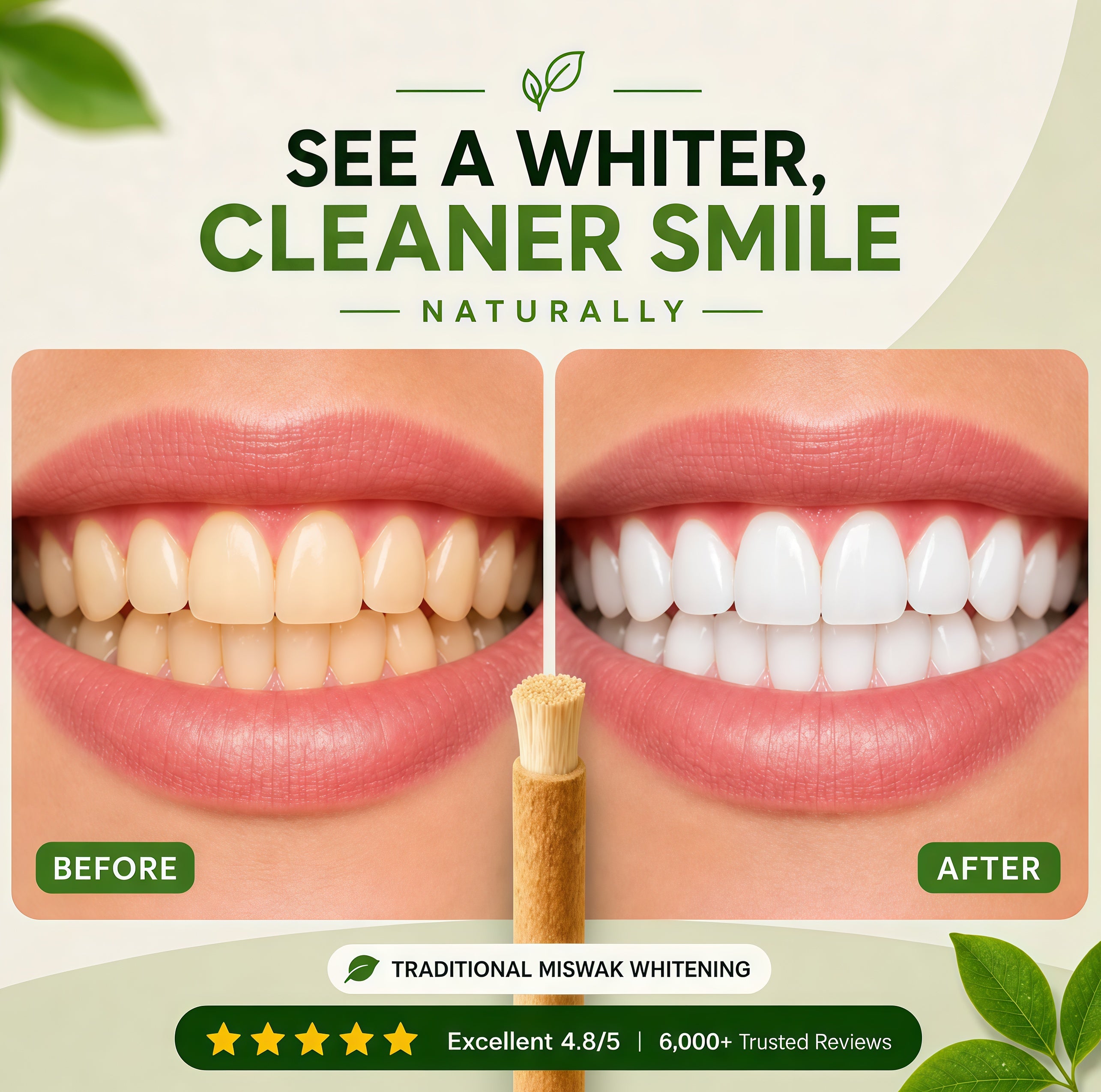 Miswak Stick (3 Pack)