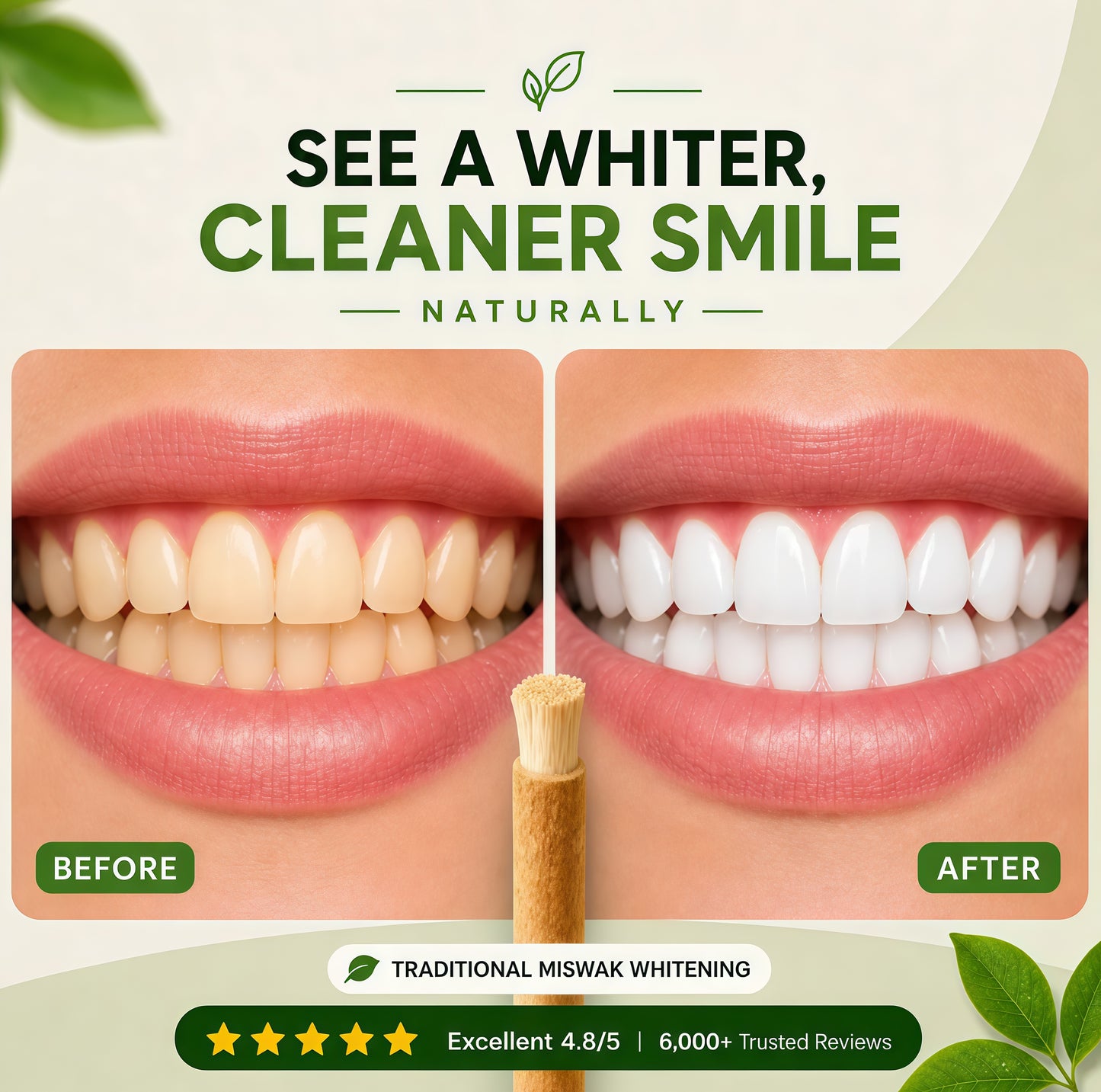 Miswak Stick (3 Pack)