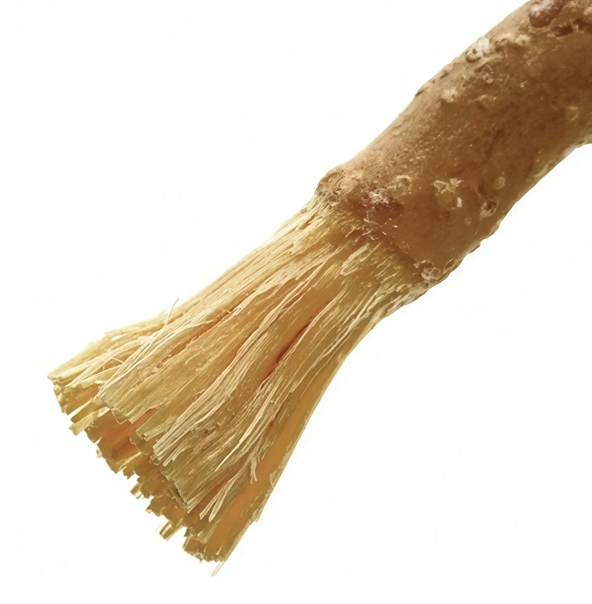 Miswak Stick (3 Pack)