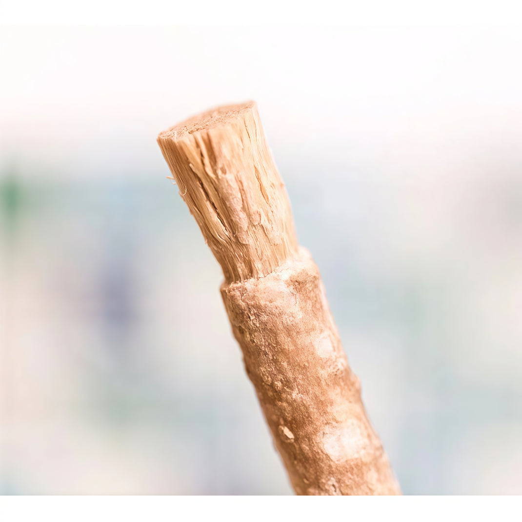 Miswak Stick (3 Pack)